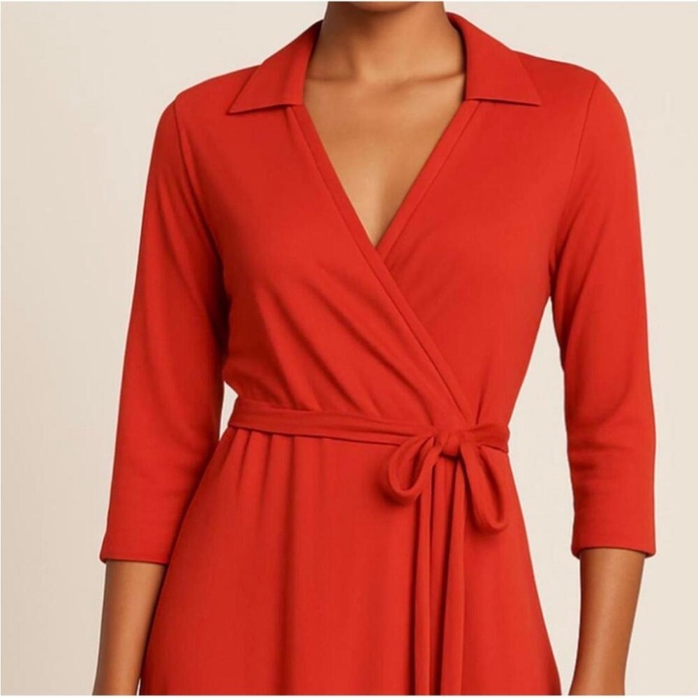 NWT Fresh Produce Tie Wrap Dress in Barn Red